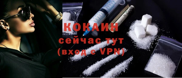 бошки Каменка
