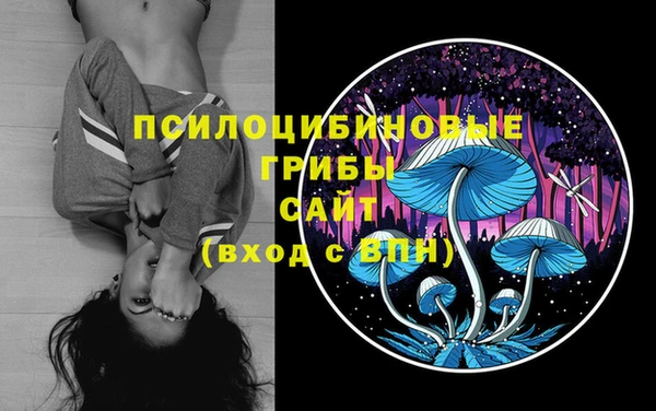 бошки Каменка