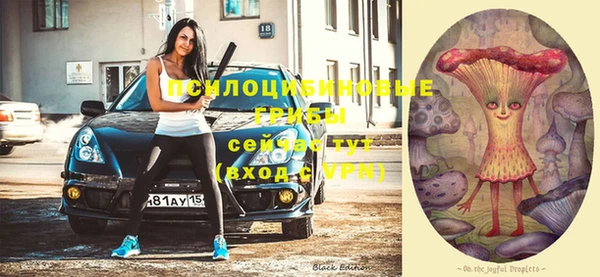 бошки Каменка