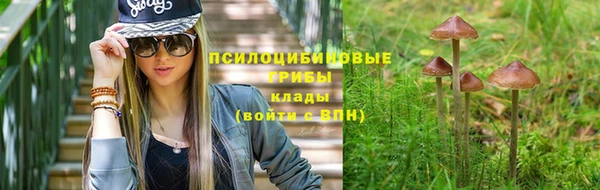 винт Каменногорск