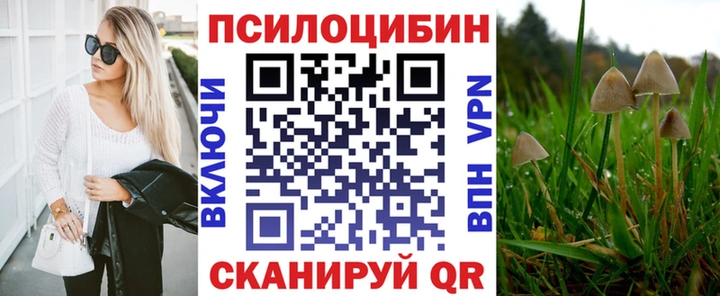 Псилоцибиновые грибы прущие грибы  Купить где  Инта 